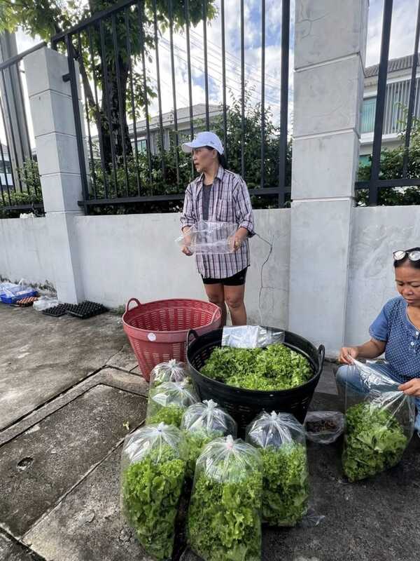 สุนารี ราชสีมา  