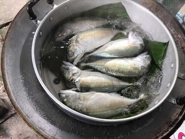 ปลาทู