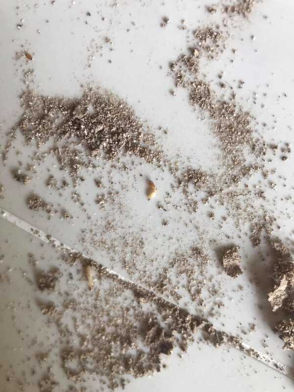 หนักแน่น นรินทร์โชติ 