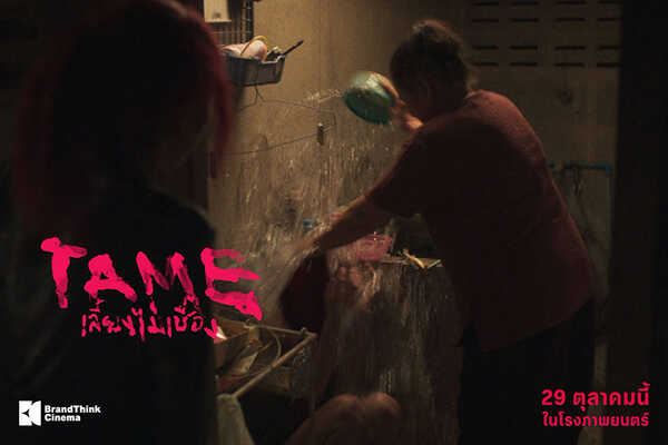 TAME เลี้ยงไม่เชื่อง หนังใหม่ 2026 หนังใหม่เดือนตุลาคม 2569 ดูหนัง