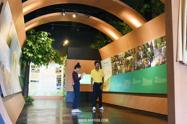 ป่าวังจันทร์