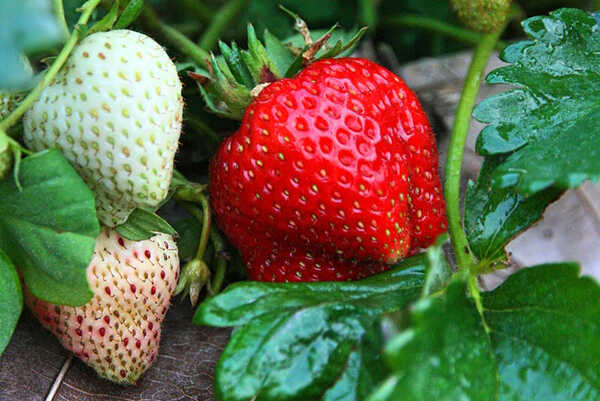 เที่ยววันหยุด