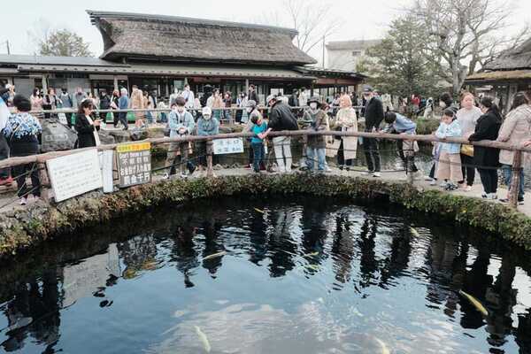 เที่ยวคาวากุจิโกะ  