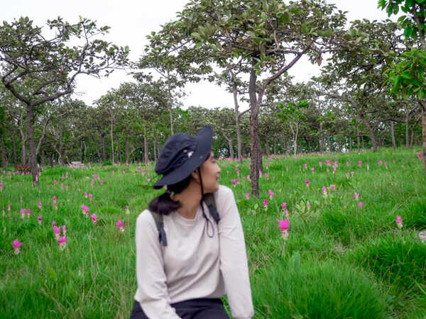 อุทยานแห่งชาติป่าหินงาม