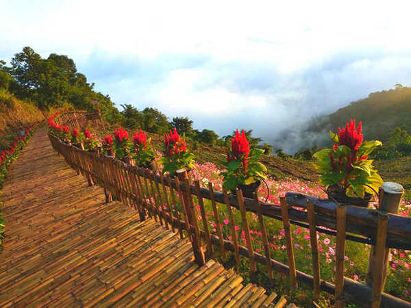 Skywalk ม่อนแจ่ม