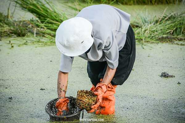 เที่ยวสุพรรณบุรี