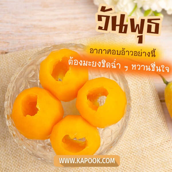 สวัสดีวันพุธ