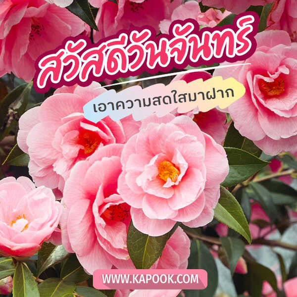 สวัสดีวันจันทร์