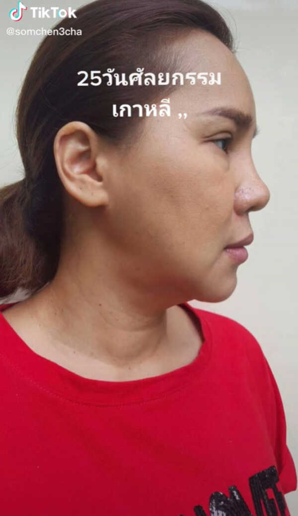  ส้มเช้ง สามช่า