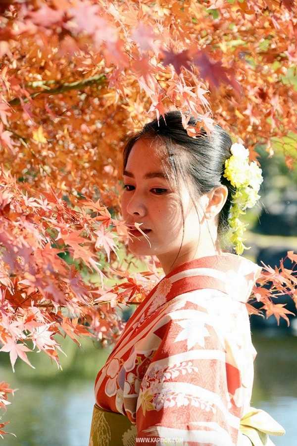 เที่ยวคุมาโมโตะ ญี่ปุ่น