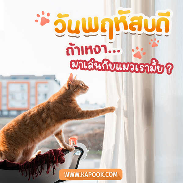 สวัสดีวันพฤหัสบดี