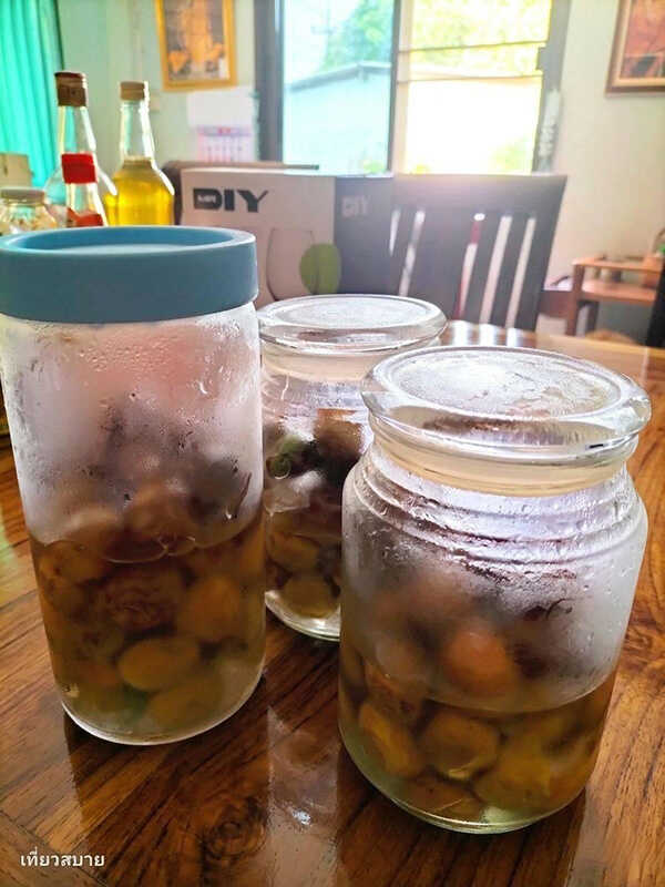 ไซรัปบ๊วย วิธีทำ Ume Syrup สูตรเครื่องดื่ม