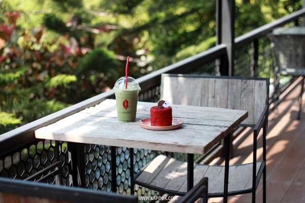 เที่ยวพิษณุโลก 