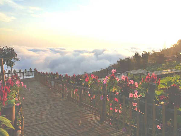 Skywalk ม่อนแจ่ม