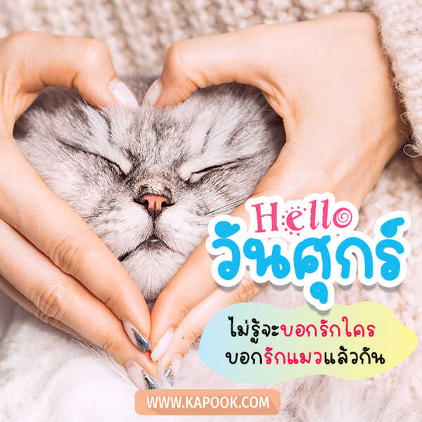 Hello วันศุกร์ ไม่รู้จะบอกรักใคร บอกรักแมวก็แล้วกัน