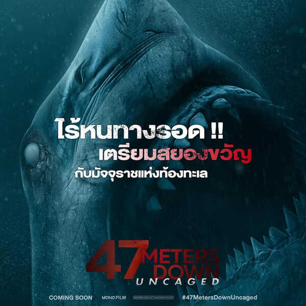 หนังฉลาม 47 Meters Down