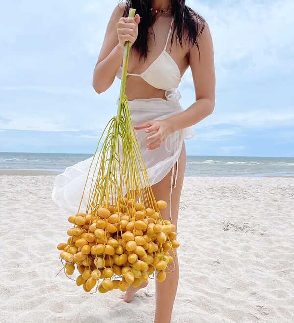 คารีสา สปริงเก็ตต์ 