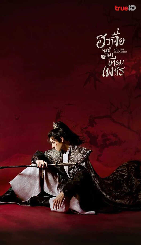 พระเอก พระรอง ซีรีส์จีน ฮวาจื่อ บุปผาเทียมเพชร Blossoms in Adversity