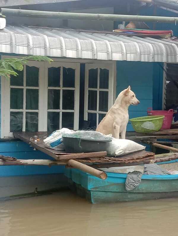 น้ำท่วมอุบลราชธานี