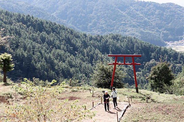 จุดชมภูเขาไฟฟูจิ  