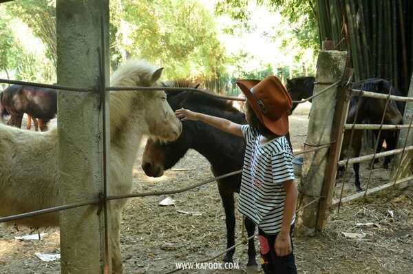 เที่ยวเชียงราย