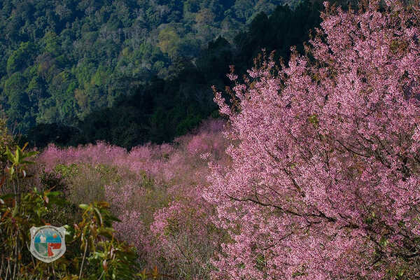 ภูลมโล 2569