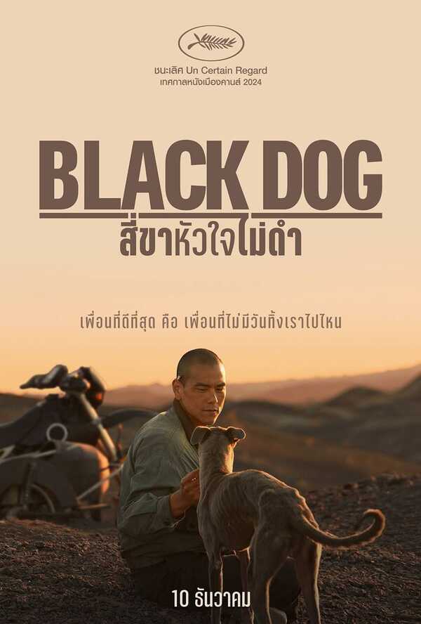 ดูหนัง สี่ขาหัวใจไม่ดำ Black Dog