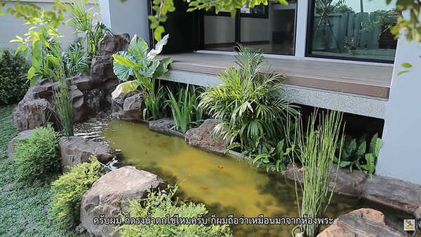 บ้าน ชมพู่ ก่อนบ่าย 