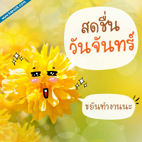 รูปสวัสดีวันจันทร์ สดชื่นวันจันทร์ ขยันทำงานนะ