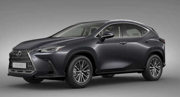 Lexus NX 2022