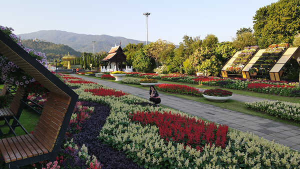 เทศกาลชมสวน 2563 อุทยานหลวงราชพฤกษ์
