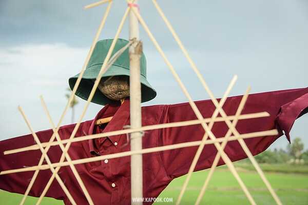 เที่ยวสุพรรณบุรี