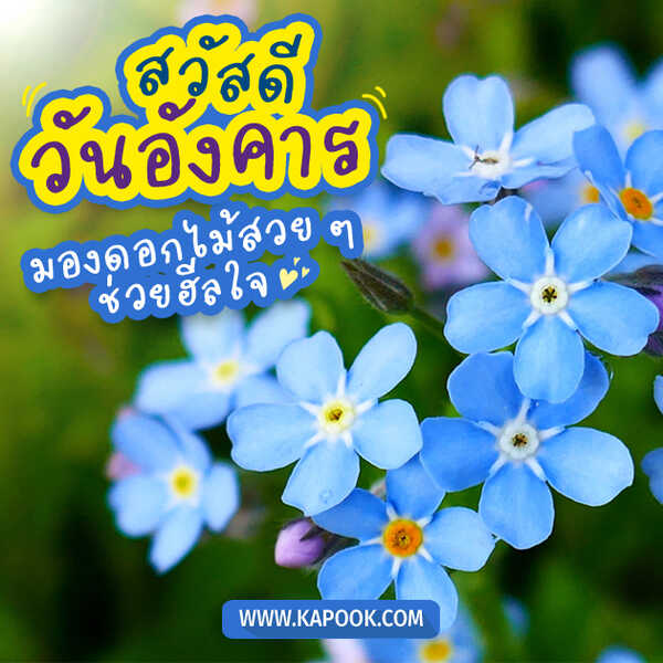 สวัสดีวันอังคาร