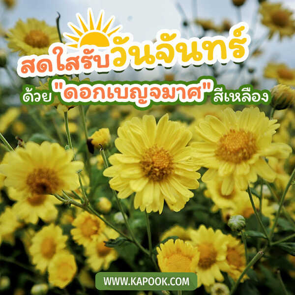 สวัสดีวันจันทร์