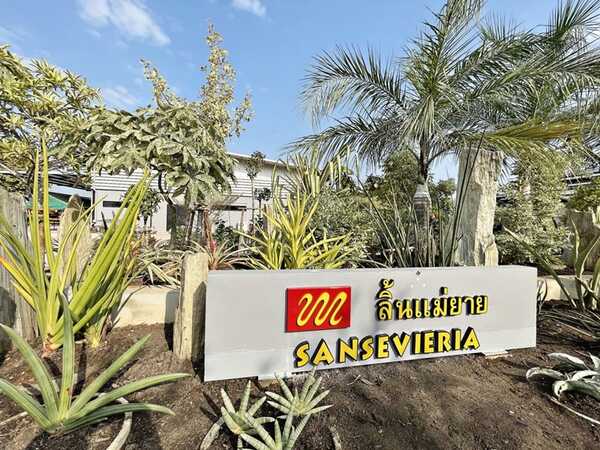 สวนนงนุชพัท