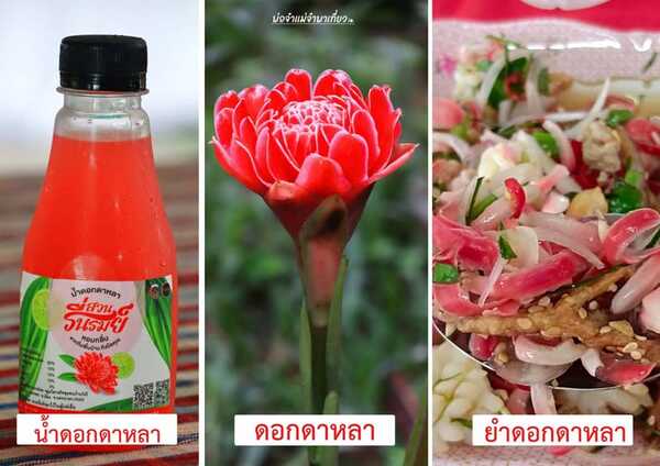 ชุมชนบ้านวังรี