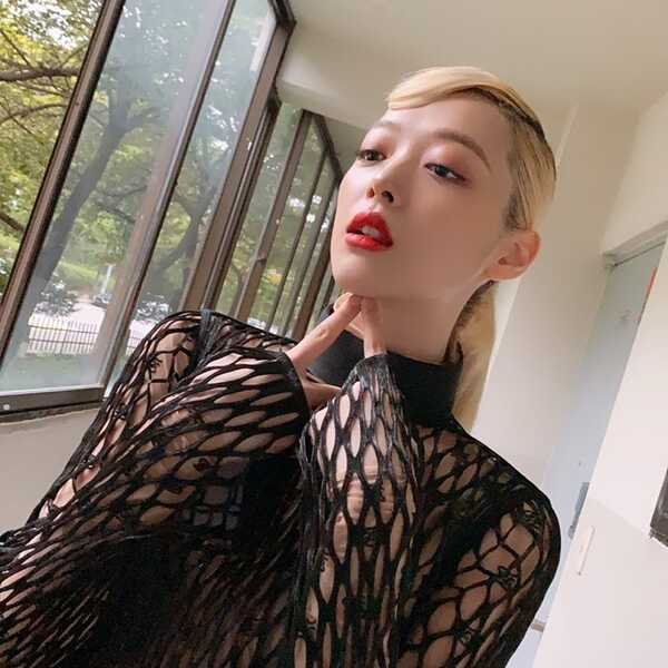 ซอลลี่