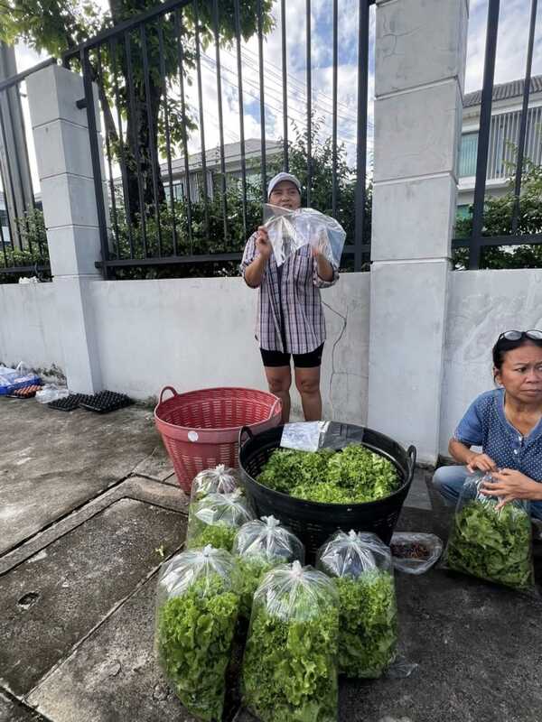 สุนารี ราชสีมา  