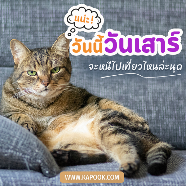 สวัสดีวันเสาร์