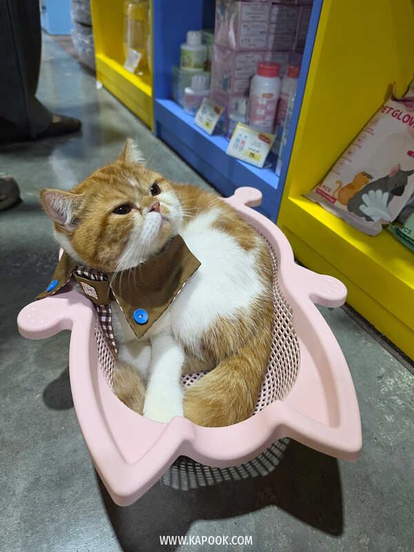 งาน Pet Expo Championship 2026