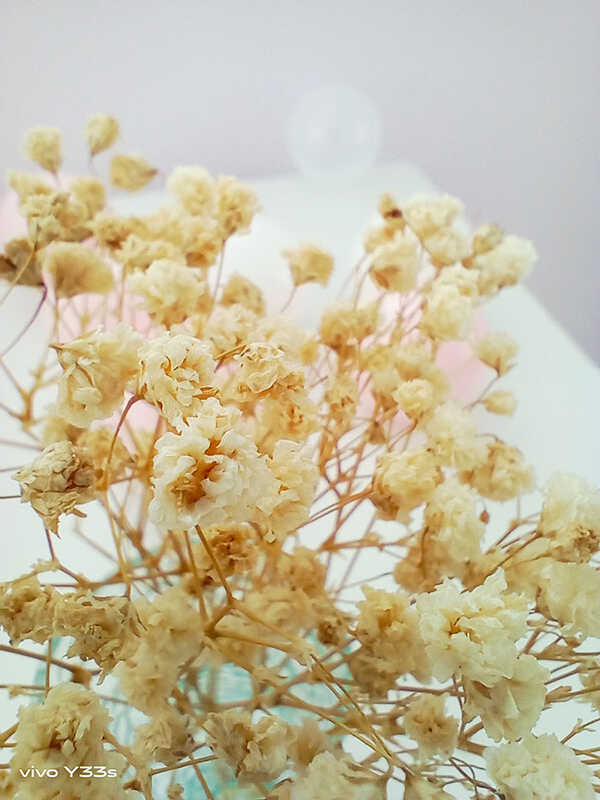vivo Y33s
