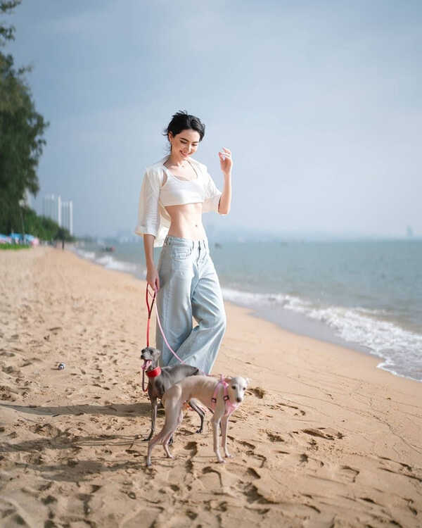 ใหม่ ดาวิกา