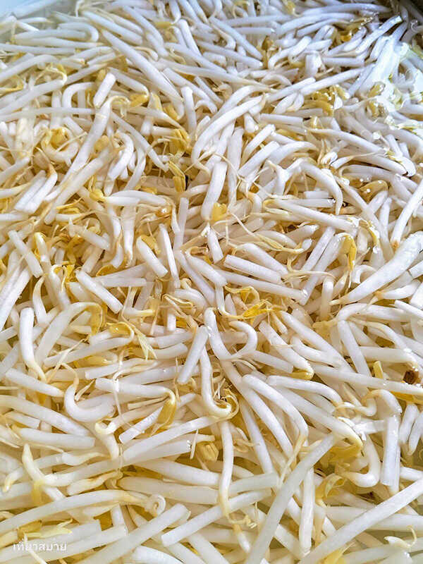 ผัดถั่วงอกเต้าหู้หมูสามชั้นกรอบ ผัดถั่วงอกใส่เต้าหู้ เมนูผัดผัก สูตรอาหาร