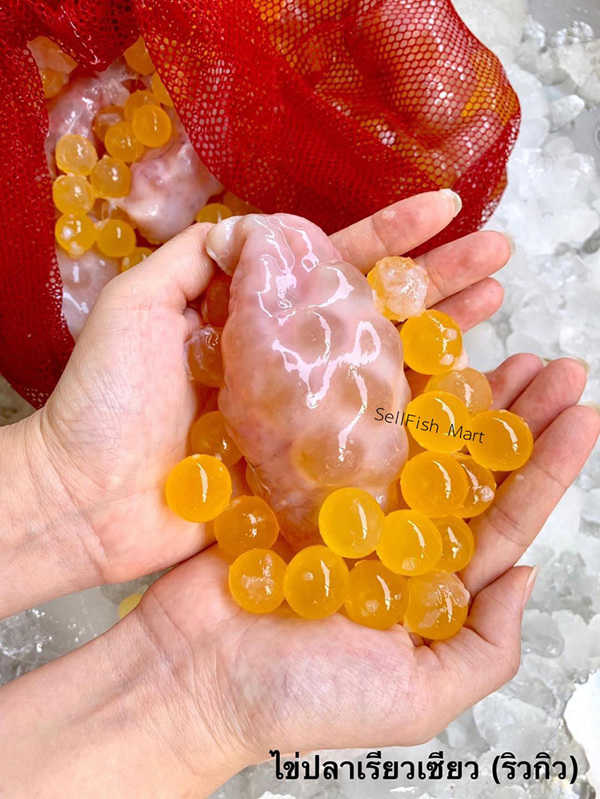 ร้านอาหารทะเลสด