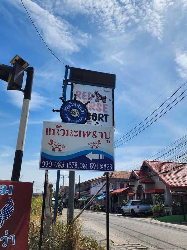 แก้วกะเพราปู