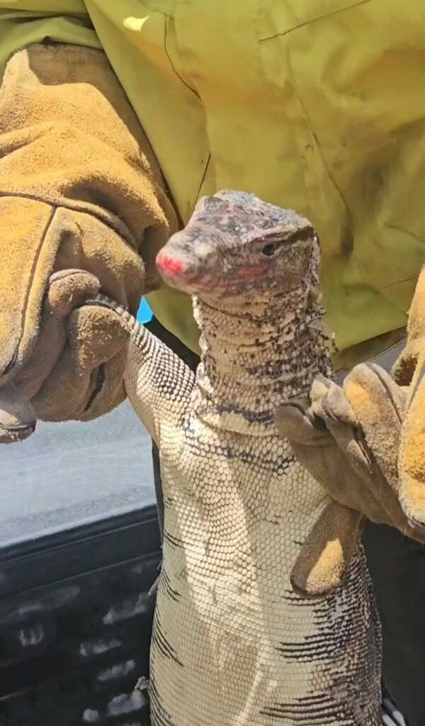 เจเพชรจ้า เผยโฉม 1 ในตัวการ ทำต้องรื้อบ้าน