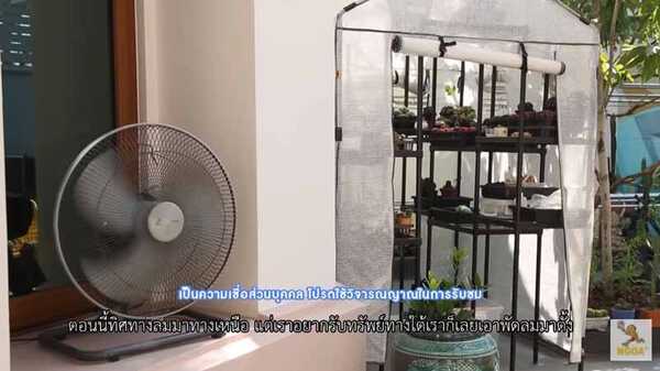 บ้านหนูแหม่ม