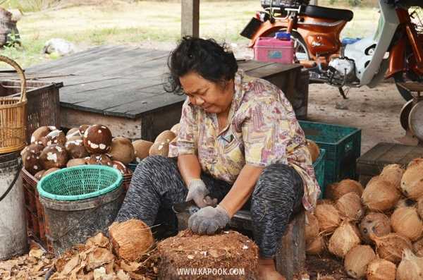 เที่ยวพัทยาเส้นทางใหม่ชุมชนวิถีเกษตรและวัฒนธรรม
