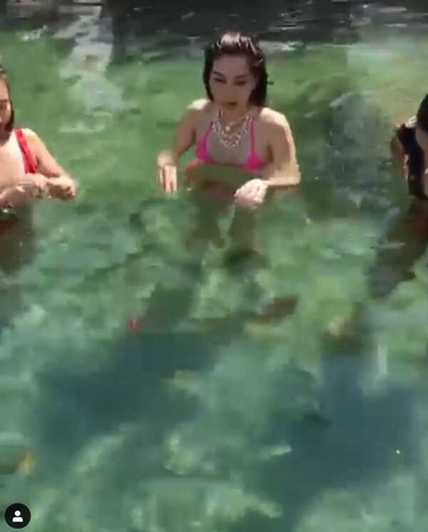 วุ้นเส้น วิริฒิพา