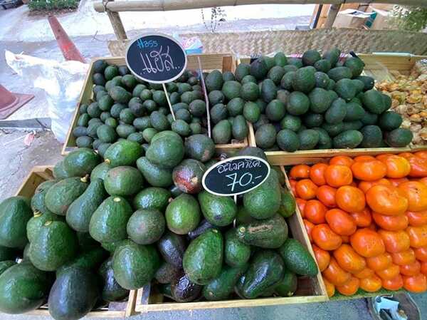 Mulberry Fest’ 2019 ไร่กำนันจุล